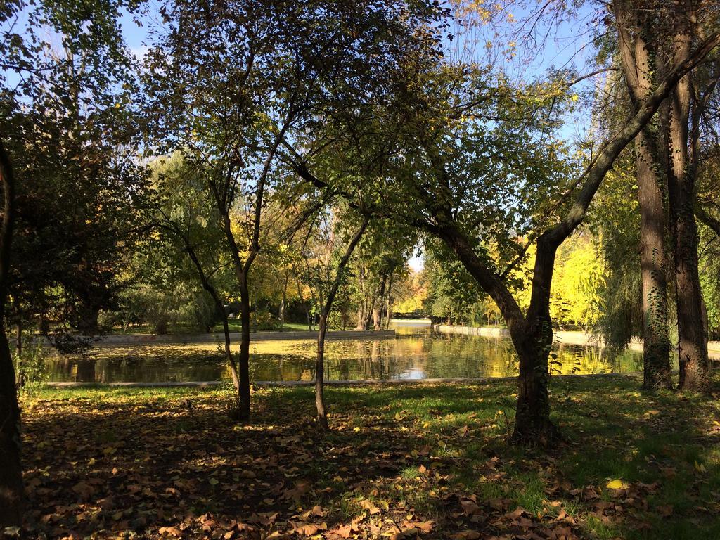 Cismigiu Garden Studio Apartman Bukarest Kültér fotó